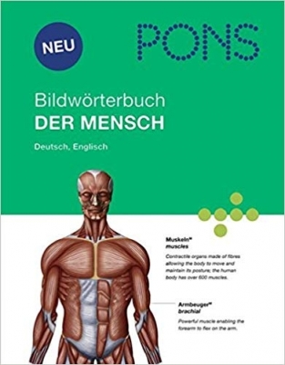 کتاب دیکشنری تصویری آلمانی انسان PONS Bildworterbuch Der Mensch رنگی